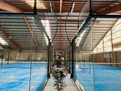 Blick in eine Indoor-Padelhalle mit zwei blauen Padelplätzen, getrennt durch Glaswände, in der Mitte ein Blumentopf.